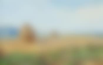 Champ de blé avec les mueles (preview)