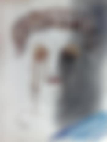 Oedipe (preview)