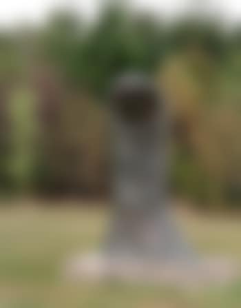 Pouce (preview)