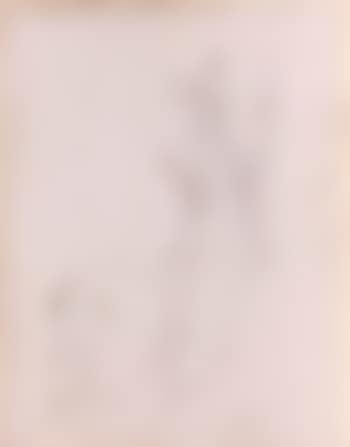 Nu assis (preview)