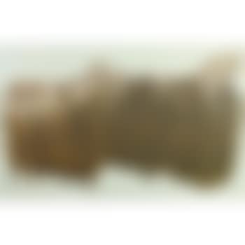 Untitled (Abstract Animal) (preview)