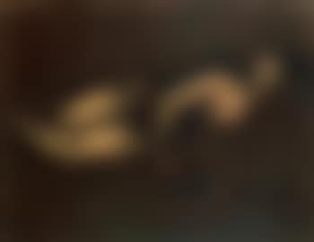 Liggend naakt (Nu allongé) (preview)