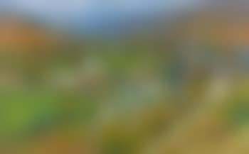 Vue Generale De Labastide-du-vert Du Haut Du Parc De Marquayrol (preview)