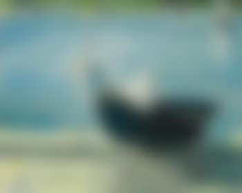 Bassin De Luxembourg, Paris (preview)