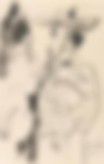 Picador Et Fille (preview)