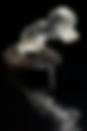 Cinq chevaux (preview)