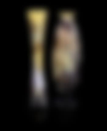 Aquilegia (preview)