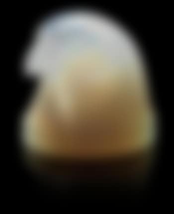 Tête d'épervier (preview)