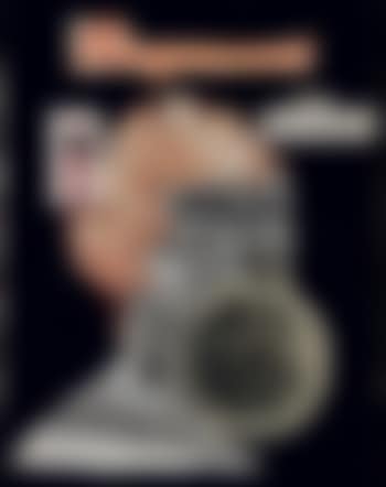 Raymond (preview)