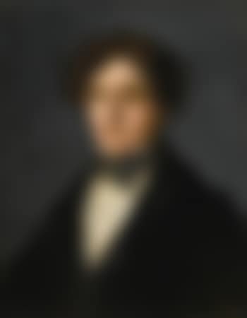 Portrait Of Mariano Goya, The Artist's Grandson (preview)