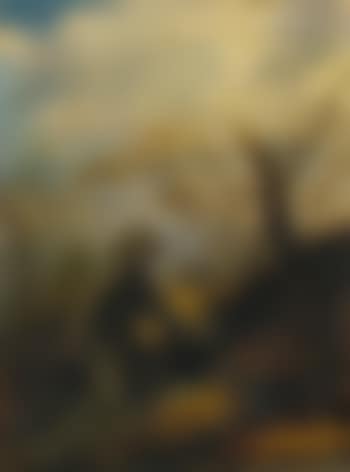 Saint Francis Receiving The Stigmata (preview)