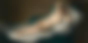 Maja Desnuda (The Naked Maja) (preview)