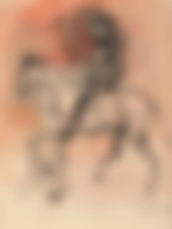 Le cavalier (preview)
