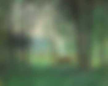 La lisière de la forêt (preview)