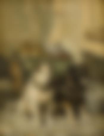 Cart dogs (preview)