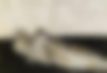 Aschermittwoch (preview)