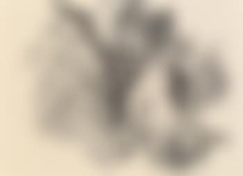 Baurenhof (preview)