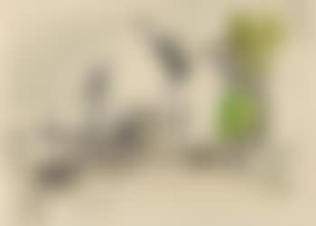 Paysage breton (preview)