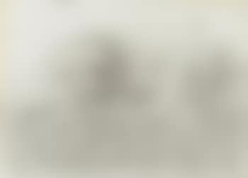 Paysage (preview)