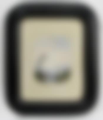 Portrait présumé de la femme de l'artiste (preview)