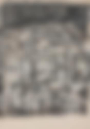 Amber Fort (preview)