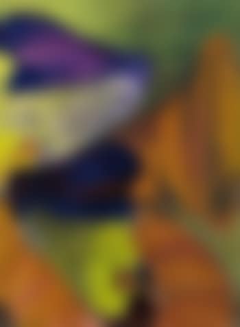Untitled (preview)