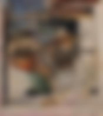 Tame Insect in a Partitioned Interior (preview)