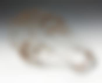 Man's Head (preview)