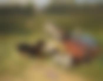 Ein gefundenes Spielzeug by Frank Paton (preview)