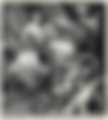 Der Hubertushirsch (preview)