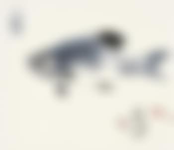 Two Fish (preview)
