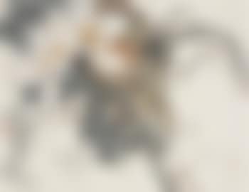 Lotus (preview)