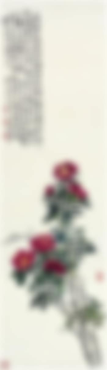 Camellia (preview)