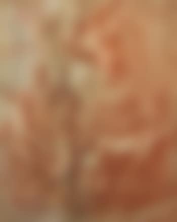 Martyrdom of a saint (preview)