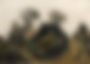 Farm Llansadwrn (preview)