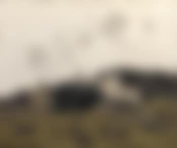 Farm at Mynydd Bodafon (preview)