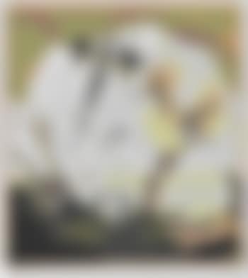 Am Nil I (preview)