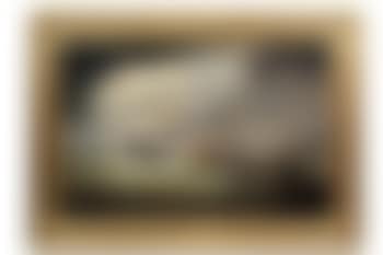 Portrait of the British Cunard steamer Gallia (preview)
