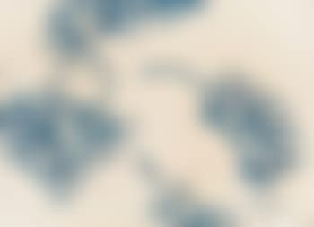 Weintrauben (preview)