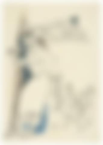 A Pair of Drawings (preview)