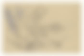 Autographed Portraits of Ali Akbar Khan (preview)