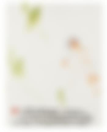 Goldfish (preview)