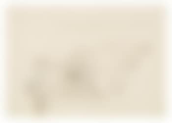 Drawings from China and Nepal (preview)