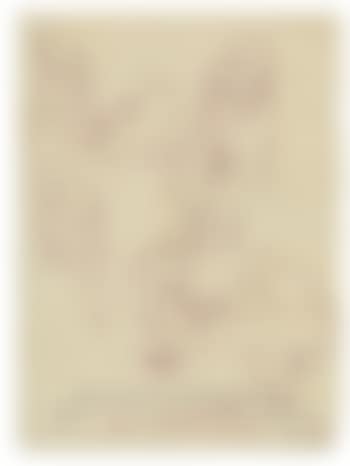 A Group of Four Drawings (preview)