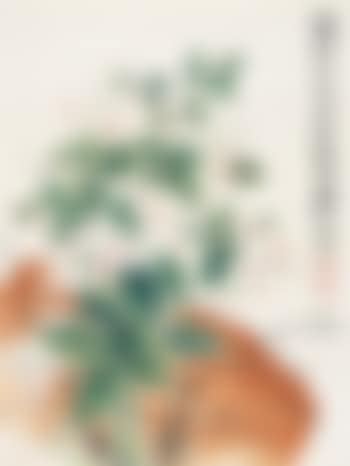 Flower (preview)