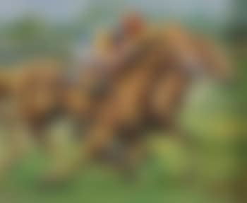 The Final Stretch (preview)