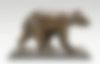 Stappende bruine beer - Ours brun marchant (preview)