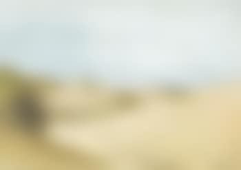Duinen te Nieuwpoort-Bad - Dunes à Nieuport-Bains (preview)