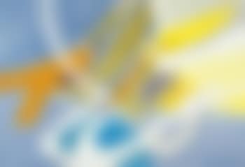 L'île de Ré (preview)