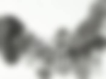 Zonder titel - Sans titre (preview)